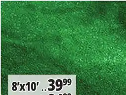 Ocean State Job Lot All-Weather Green Artificial Grass 8' x 10' offer