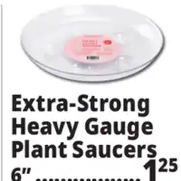 Ocean State Job Lot Extra-Strong Heavy Gauge Plant Saucers 6 offer