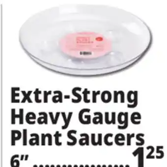 Ocean State Job Lot Extra-Strong Heavy Gauge Plant Saucers 6 offer