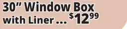 Ocean State Job Lot 30 Window Box with Liner offer