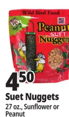 Ocean State Job Lot C&S Wire Bird Feeder offer