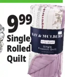 Ocean State Job Lot Single Rolled Quilt offer