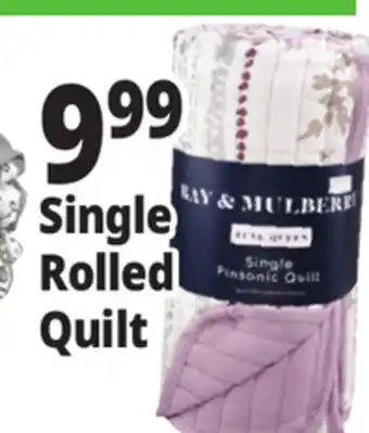 Ocean State Job Lot Single Rolled Quilt offer