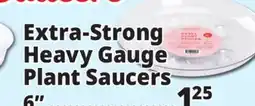 Ocean State Job Lot Extra-Strong Heavy Gauge Plant Saucers offer