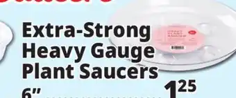 Ocean State Job Lot Extra-Strong Heavy Gauge Plant Saucers offer