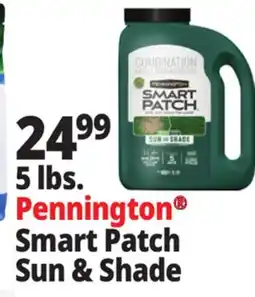 Ocean State Job Lot Pennington Smart Patch Grass Seed Fertilizer Mulch 5 lbs offer