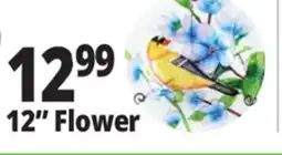 Ocean State Job Lot 12 Flower offer