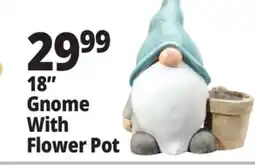 Ocean State Job Lot 18 Gnome With Flower Pot offer
