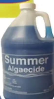Ocean State Job Lot Summer Algaecide 1 Gal offer