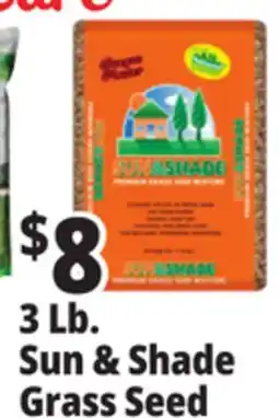 Ocean State Job Lot Premium Quality Sun & Shade Grass Seed Mixture 3 lbs offer