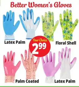 Ocean State Job Lot Better Women's Gloves offer