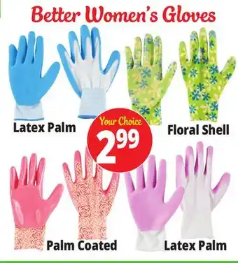 Ocean State Job Lot Better Women's Gloves offer