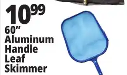 Ocean State Job Lot SwimWorks Leaf Skimmer with Aluminum Pole 60 offer