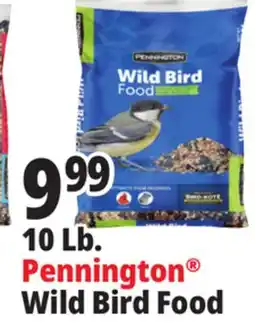 Ocean State Job Lot Pennington Wild Bird Food 10 lbs offer
