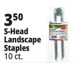 Ocean State Job Lot Tiller & Rowe S-Shaped Landscape Staples 10 Count offer