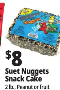 Ocean State Job Lot C&S Songbird Snak with Peanut Suet Nuggets 32 oz offer