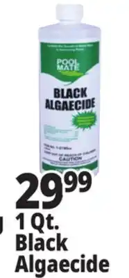 Ocean State Job Lot Pool Mate Black Algaecide 1 Qt offer
