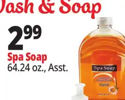 Ocean State Job Lot Spa soap offer