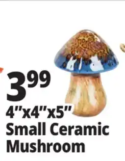 Ocean State Job Lot Small Ceramic Mushroom Assorted offer