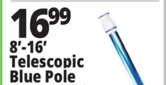 Ocean State Job Lot SwimWorks Telescopic Aluminum Pole offer