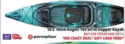 Ocean State Job Lot Perception Hook Angler 10.5 Kayak Dapper offer