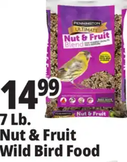 Ocean State Job Lot Pennington Ultimate Nut & Fruit Blend Wild Bird Seed 7 lbs offer