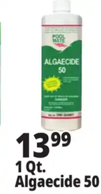Ocean State Job Lot Pool Mate Algaecide 50 1 Qt offer