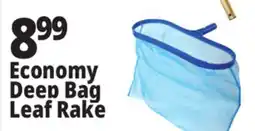 Ocean State Job Lot SwimWorks Economy Deep Bag Leaf Rake offer