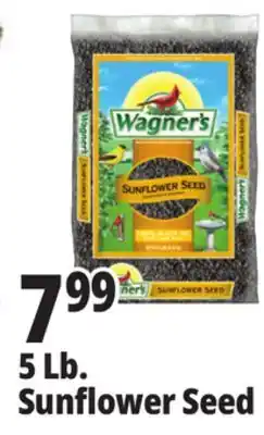 Ocean State Job Lot Wagner's Black Oil Sunflower Seed Wild Bird Food 5 lbs offer