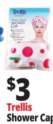 Ocean State Job Lot Trellis Boutique Shower Cap offer