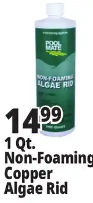 Ocean State Job Lot Pool Mate Non-Foaming Algae Rid 1 Qt offer