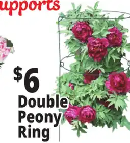 Ocean State Job Lot Peony Double Ring Plant Support 18 x 36 offer