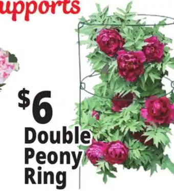 Ocean State Job Lot Peony Double Ring Plant Support 18 x 36 offer