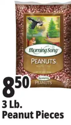 Ocean State Job Lot Morning Song Wildlife Food Peanuts 3 lbs offer