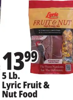 Ocean State Job Lot Lyric Fruit and Nut High Energy Wild Bird Food Mix offer