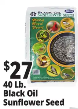 Ocean State Job Lot Black Oil Sunflower Seeds 40 lbs offer