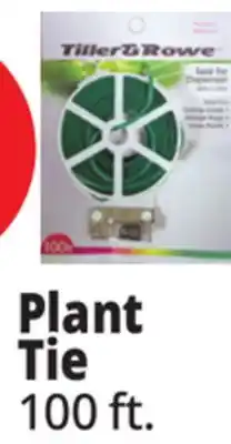 Ocean State Job Lot Plant Tie offer