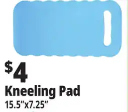 Ocean State Job Lot Kneeling Pad offer