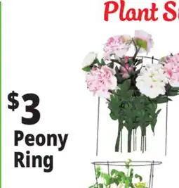 Ocean State Job Lot Peony Ring offer
