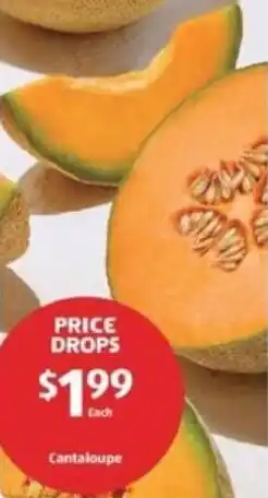 Aldi Cantaloupe offer