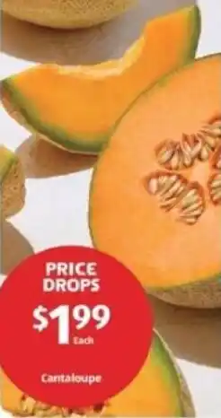 Aldi Cantaloupe offer