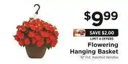 ShopRite Flowering Hanging Basket offer