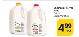 Albertsons Shamrock Farms Milk - Gallon Select Varieties offer