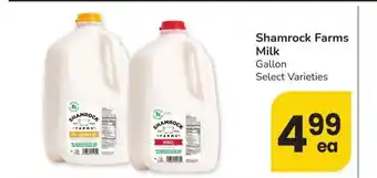 Albertsons Shamrock Farms Milk - Gallon Select Varieties offer