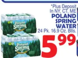 Bravo Supermarkets POLAND SPRING WATER offer