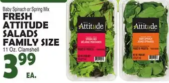 Bravo Supermarkets FRESH ATTITUDE SALADS FAMILY SIZE offer