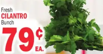 Bravo Supermarkets CILANTRO offer