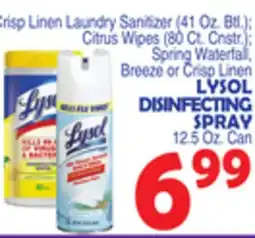 Bravo Supermarkets LYSOL DISINFECTING SPRAY offer