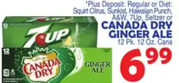 Bravo Supermarkets CANADA DRY GINGER ALE offer