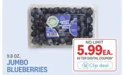 Kings Food Markets JUMBO BLUEBERRIES offer